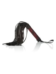 CALEXOTICS SCANDAL LATIGO CON ETIQUETA