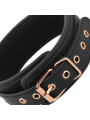 COQUETTE CHIC DESIRE FANTASY COLLAR CON PINZAS PEZONES CON FORRO DE NEOPRENO