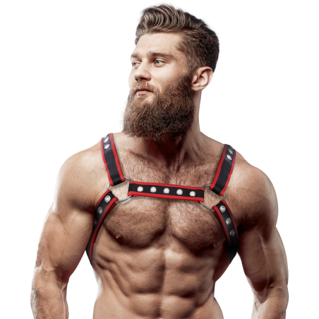 FETISH SUBMISSIVE ATTITUDE ARNES BULLDOG ECOPIEL PECHO HOMBRE NEGRO ROJO