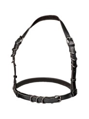 CALEXOTICS EUPHORIA ARNES HATLER CON HEBILLA TALLA GRANDE NEGRO