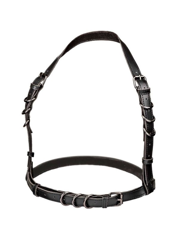 CALEXOTICS EUPHORIA ARNES HATLER CON HEBILLA TALLA GRANDE NEGRO