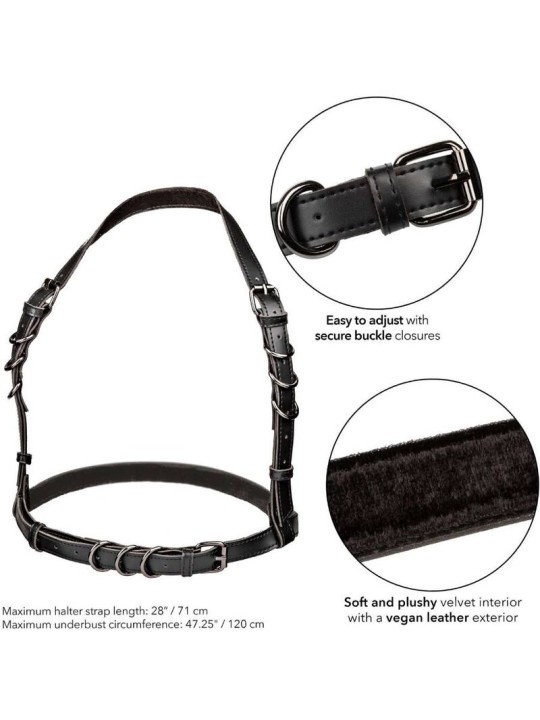 CALEXOTICS EUPHORIA ARNES HATLER CON HEBILLA TALLA GRANDE NEGRO