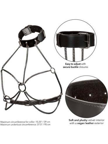 CALEXOTICS EUPHORIA ARNES DE CUELLO DE CADENA