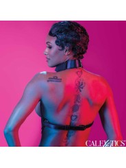 CALEXOTICS EUPHORIA ARNES DE CUELLO DE CADENA