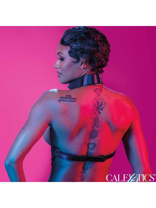 CALEXOTICS EUPHORIA ARNES DE CUELLO DE CADENA