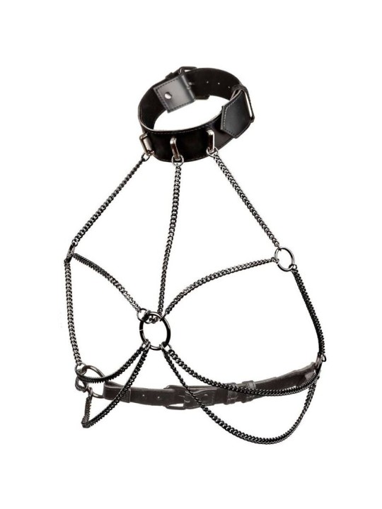 CALEXOTICS EUPHORIA ARNES DE CUELLO DE CADENA TALLA GRANDE