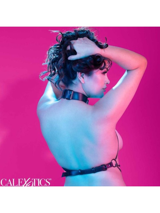 CALEXOTICS EUPHORIA ARNES DE CUELLO DE CADENA TALLA GRANDE