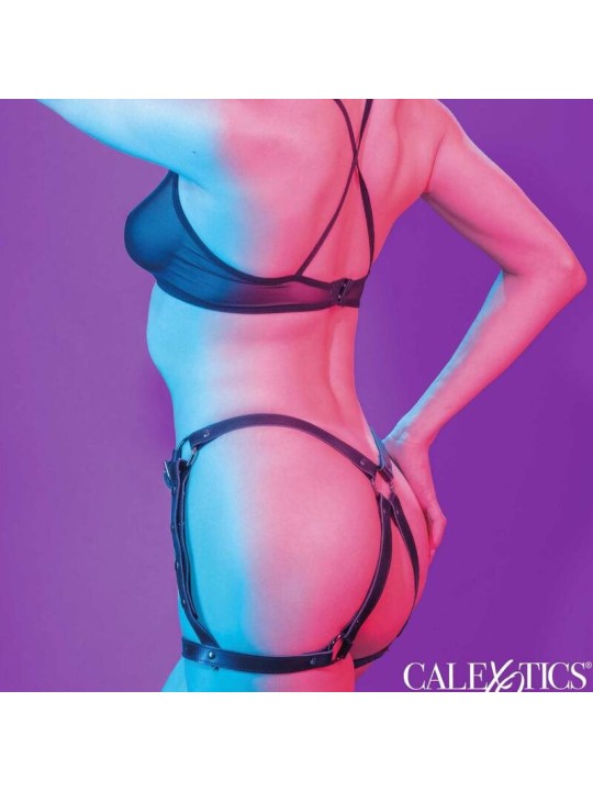 CALEXOTICS EUPHORIA ARNES DE MUSLO EQUITACION