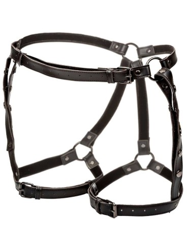 CALEXOTICS EUPHORIA ARNES DE MUSLO EQUITACION TALLA GRANDE