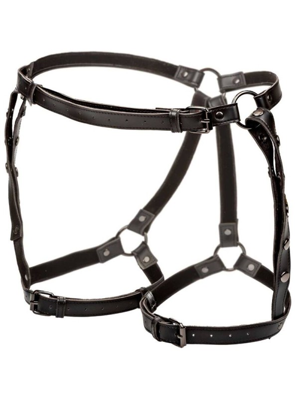 CALEXOTICS EUPHORIA ARNES DE MUSLO EQUITACION TALLA GRANDE