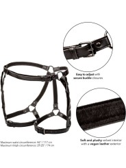 CALEXOTICS EUPHORIA ARNES DE MUSLO EQUITACION TALLA GRANDE