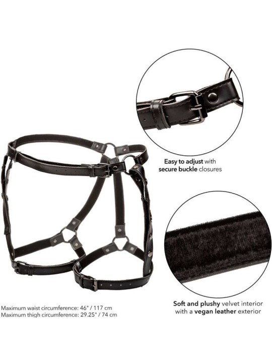 CALEXOTICS EUPHORIA ARNES DE MUSLO EQUITACION TALLA GRANDE