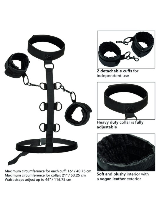 CALEXOTICS BOUNDLESS SUJECCION DEL CUERPO Y EL CUELLO
