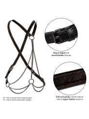 CALEXOTICS EUPHORIA ARNES DE MULTIPLES CADENAS PREMIUM
