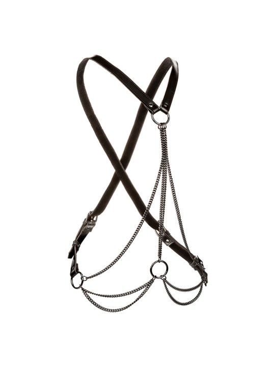 CALEXOTICS EUPHORIA ARNES DE MULTIPLES CADENAS PREMIUM TALLA PLUS