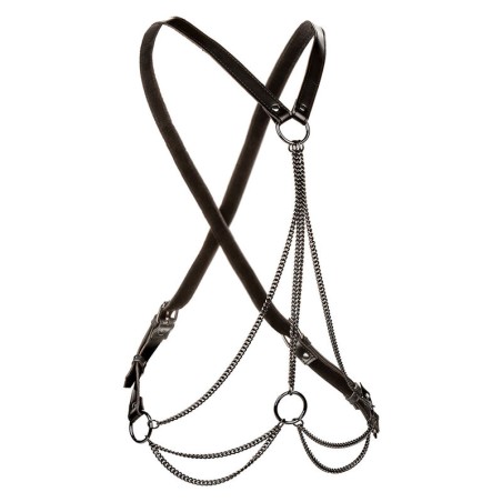 CALEXOTICS EUPHORIA ARNES DE MULTIPLES CADENAS PREMIUM TALLA PLUS