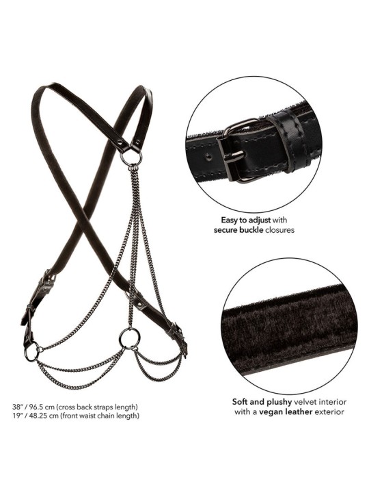 CALEXOTICS EUPHORIA ARNES DE MULTIPLES CADENAS PREMIUM TALLA PLUS