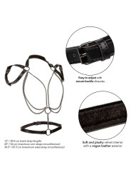 CALEXOTICS EUPHORIA ARNES ESTILO CABESTRO CON MULTIPLES CADENAS PREMIUM