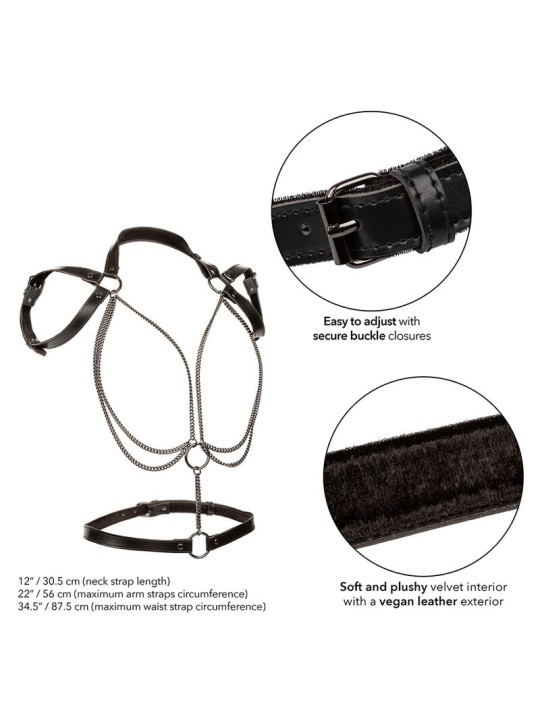 CALEXOTICS EUPHORIA ARNES ESTILO CABESTRO CON MULTIPLES CADENAS PREMIUM