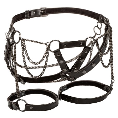 CALEXOTICS EUPHORIA ARNES DE MUSLO CON CADENAS PREMIUM
