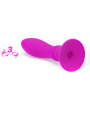 PRETTY LOVE BOOTY PASSION PLUG CON VIBRACION 10V