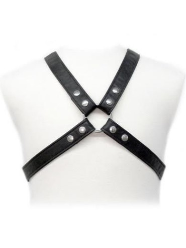 LEATHER BODY LASIC HARNESS IN GARMENT