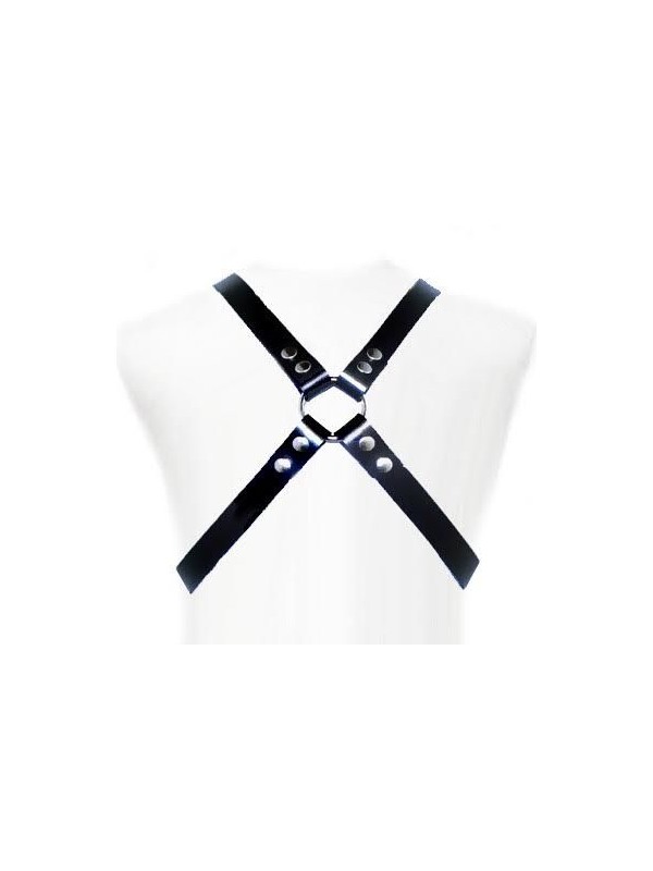 LEATHER BODY BASIC HARNESS