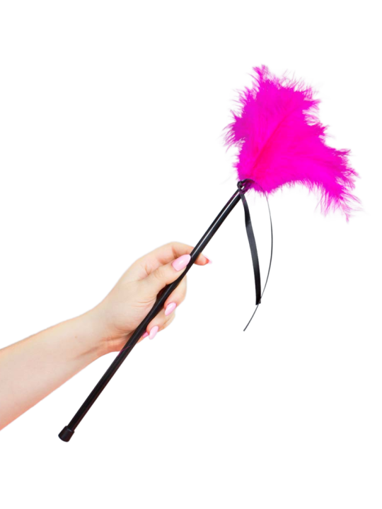 SECRETPLAY PLUMERO PLUMAS ROSA 40 CM