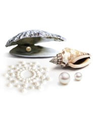 BIJOUX INDISCRETS MIMI PERLA DORADO