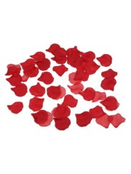 DIABLO PICANTE 100 PETALOS ROJO