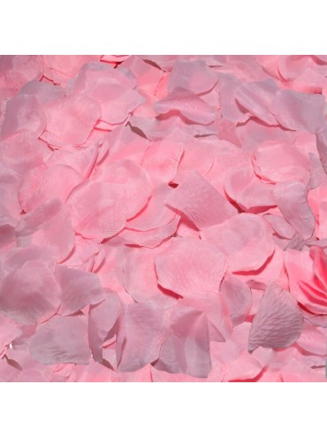 DIABLO PICANTE 100 PETALOS ROSA