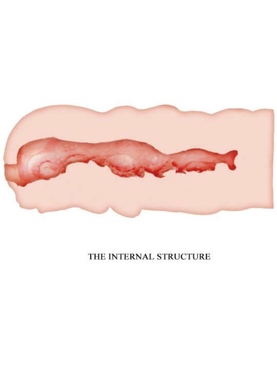 CRAZY BULL ISABEL MASTURBADOR VAGINA 135 CM