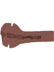 PRIVATE MASTURBADOR SEXY SISTA TO GO