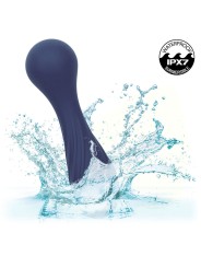 CALEXOTICS CHARISMA TEMPTATION MASAJEADOR 12 FUNCIONES MORADO