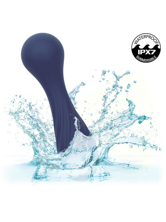 CALEXOTICS CHARISMA TEMPTATION MASAJEADOR 12 FUNCIONES MORADO