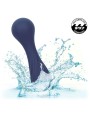 CALEXOTICS CHARISMA TEMPTATION MASAJEADOR 12 FUNCIONES MORADO