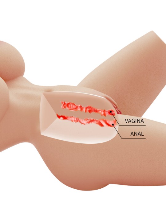 CRAZY BULL LILY TORSO FEMENINO REALISTA VAGINA Y ANAL 4 KG