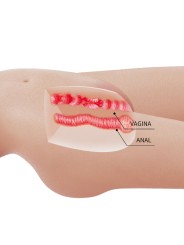 CRAZY BULL MIA TORSO FEMENINO REALISTA VAGINA Y ANAL 85 KG
