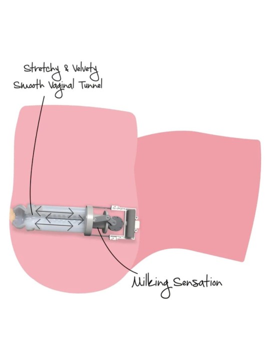 HIDDEN DESIRE BIG ASS MILKING BITCH MASTURBADOR FEMENINO 16 KG