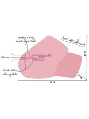 HIDDEN DESIRE JUICY SUCKING PUSSY TORSO MASTURBADOR FEMENINO 4 KG