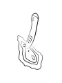ROMP HYPE VIBRADOR PUNTO G MULTIFUNCION ROJO