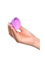 FANTASY FOR HER SUCCIONADOR DE PEZONES CON VIBRACION
