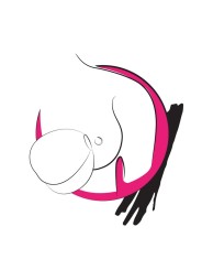 ROMP PINK PEACH SUCCIONADOR DE CLITORIS FORMA MELOCOTON