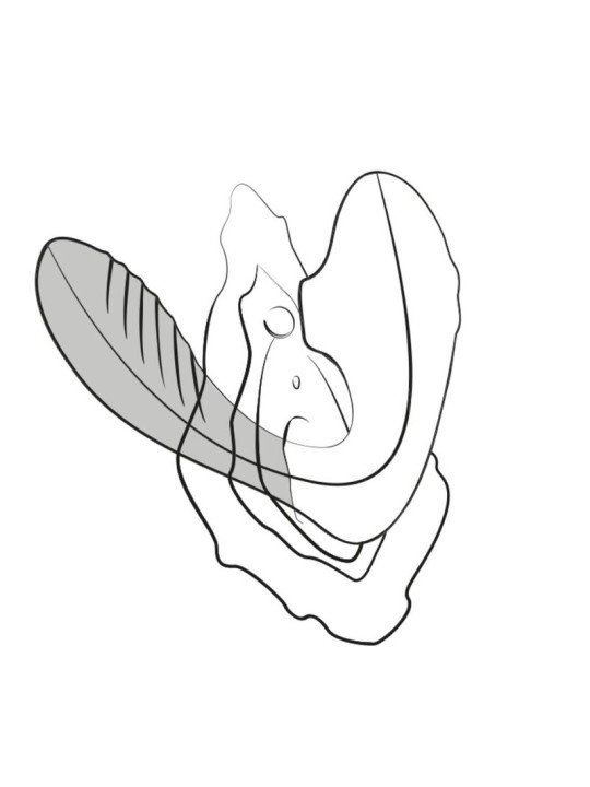 ROMP REVERB ESTIMULADOR PUNTO G Y SUCCIONADOR DE CLITORIS LILA