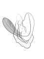 ROMP REVERB ESTIMULADOR PUNTO G Y SUCCIONADOR DE CLITORIS LILA