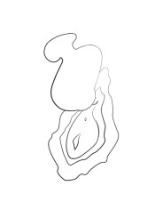 ROMP KISS SUCCIONADOR DE CLITORIS VIBRADOR DE DEDO RECARGABLE