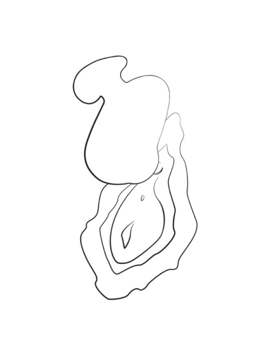 ROMP KISS SUCCIONADOR DE CLITORIS VIBRADOR DE DEDO RECARGABLE