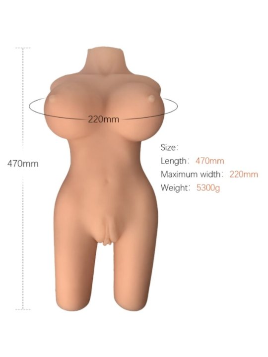 ARMONY TORSO FEMENINO REALISTICO MODELO 6