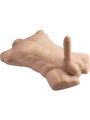 SILEXD APOLLO L TORSO REALISTICO MASCULINO