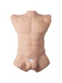 SILEXD APOLLO L TORSO REALISTICO MASCULINO